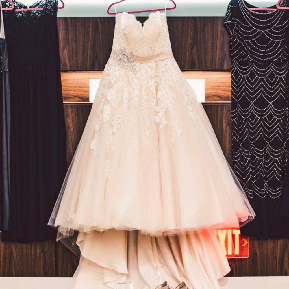 Size 22 wedding dress and veil. A-line lace princess wedding gown.